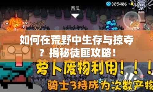 如何在荒野中生存與掠奪？揭秘徒匪攻略！