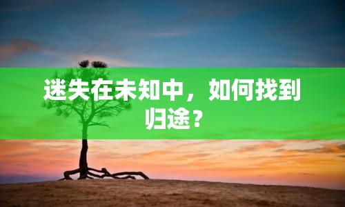 迷失在未知中，如何找到歸途？