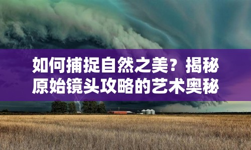 如何捕捉自然之美？揭秘原始鏡頭攻略的藝術(shù)奧秘！