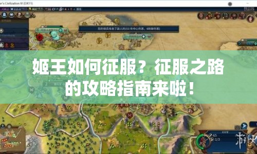 姬王如何征服？征服之路的攻略指南來啦！