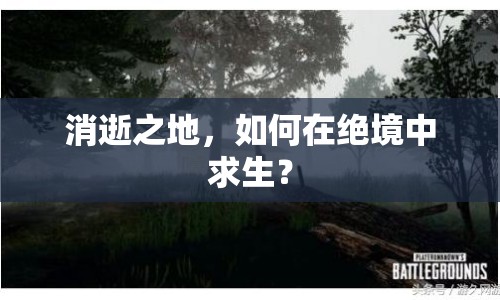 消逝之地，如何在絕境中求生？
