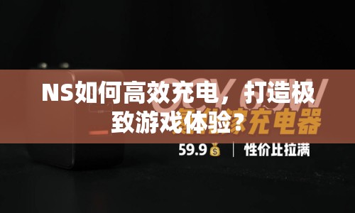 NS如何高效充電，打造極致游戲體驗(yàn)？