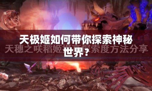 天極姬如何帶你探索神秘世界？