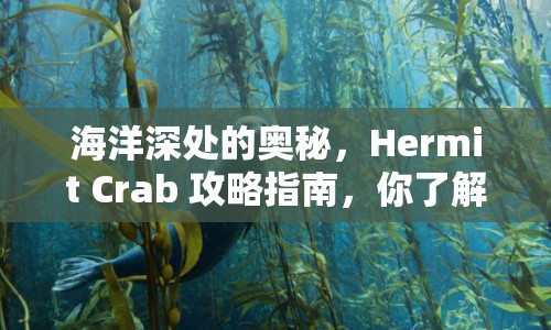 海洋深處的奧秘，Hermit Crab 攻略指南，你了解多少？