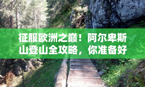 征服歐洲之巔！阿爾卑斯山登山全攻略，你準備好了嗎？