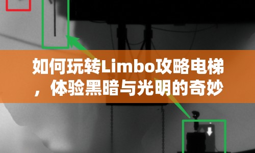 如何玩轉(zhuǎn)Limbo攻略電梯，體驗黑暗與光明的奇妙之旅？