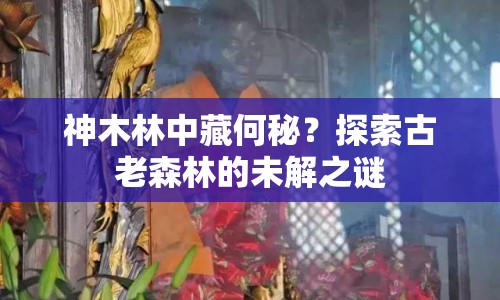 神木林中藏何秘？探索古老森林的未解之謎