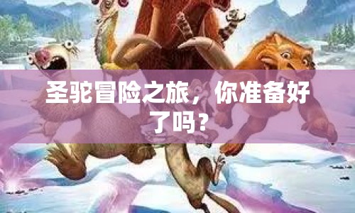 圣駝冒險之旅，你準備好了嗎？