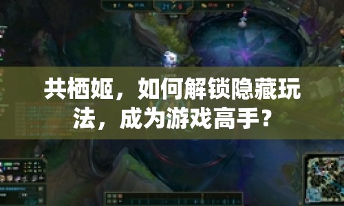 共棲姬，如何解鎖隱藏玩法，成為游戲高手？