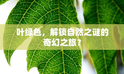 葉綠色，解鎖自然之謎的奇幻之旅？
