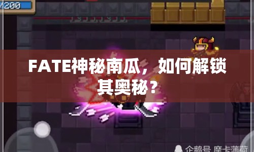 FATE神秘南瓜，如何解鎖其奧秘？