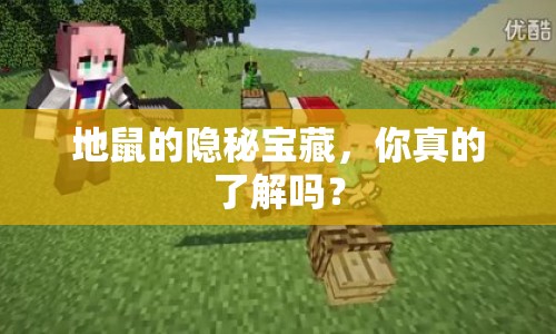 地鼠的隱秘寶藏，你真的了解嗎？
