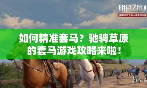 如何精準(zhǔn)套馬？馳騁草原的套馬游戲攻略來(lái)啦！