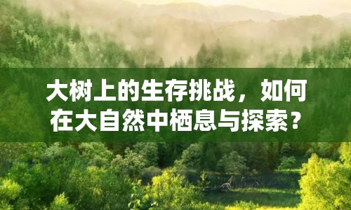 大樹上的生存挑戰(zhàn)，如何在大自然中棲息與探索？