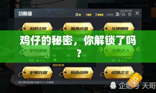 雞仔的秘密，你解鎖了嗎？