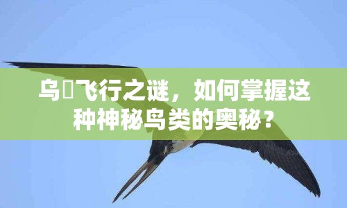 烏鷺飛行之謎，如何掌握這種神秘鳥類的奧秘？