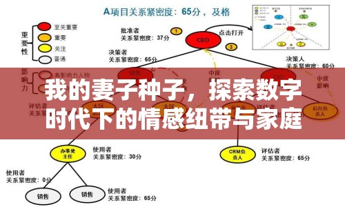 我的妻子種子，探索數(shù)字時(shí)代下的情感紐帶與家庭關(guān)系