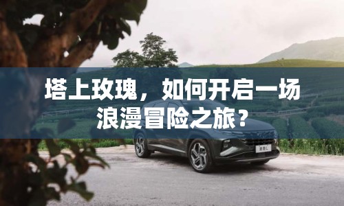 塔上玫瑰，如何開啟一場浪漫冒險之旅？