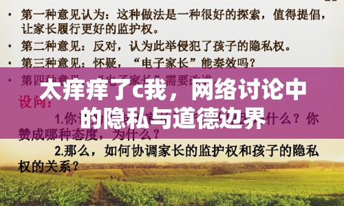 太癢癢了c我，網(wǎng)絡(luò)討論中的隱私與道德邊界