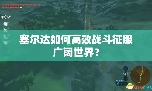 塞爾達(dá)如何高效戰(zhàn)斗征服廣闊世界？