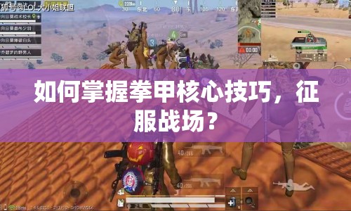 如何掌握拳甲核心技巧，征服戰(zhàn)場？