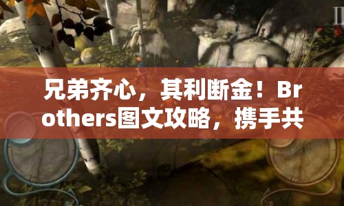兄弟齊心，其利斷金！Brothers圖文攻略，攜手共闖冒險之旅！