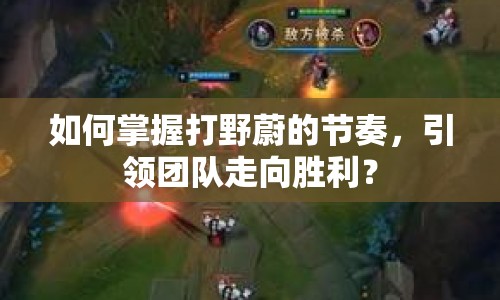 如何掌握打野蔚的節(jié)奏，引領(lǐng)團(tuán)隊(duì)走向勝利？