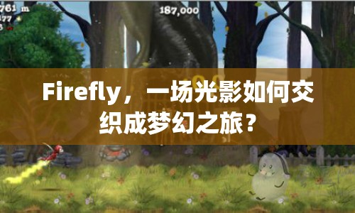Firefly，一場光影如何交織成夢幻之旅？