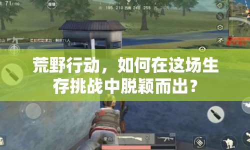 荒野行動(dòng)，如何在這場(chǎng)生存挑戰(zhàn)中脫穎而出？