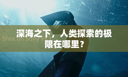 深海之下，人類探索的極限在哪里？