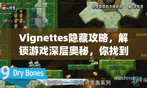 Vignettes隱藏攻略，解鎖游戲深層奧秘，你找到了嗎？
