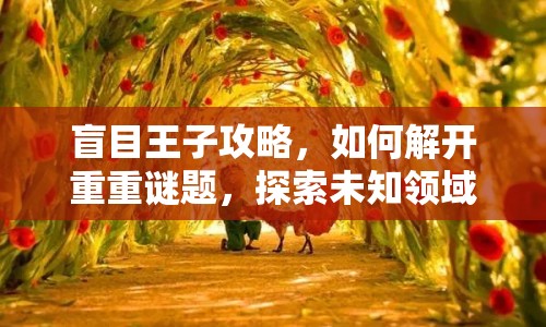 盲目王子攻略，如何解開重重謎題，探索未知領(lǐng)域？