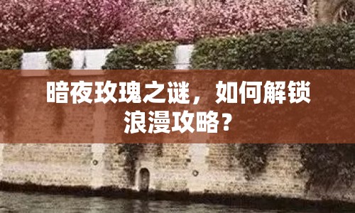 暗夜玫瑰之謎，如何解鎖浪漫攻略？