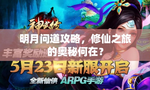 明月問道攻略，修仙之旅的奧秘何在？