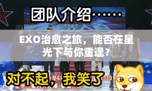 EXO治愈之旅，能否在星光下與你重逢？