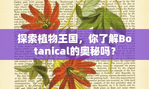 探索植物王國，你了解Botanical的奧秘嗎？