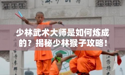 少林武術(shù)大師是如何煉成的？揭秘少林猴子攻略！