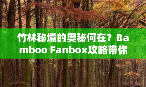 竹林秘境的奧秘何在？Bamboo Fanbox攻略帶你解鎖！
