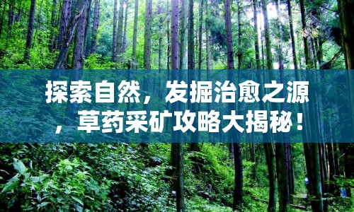 探索自然，發(fā)掘治愈之源，草藥采礦攻略大揭秘！