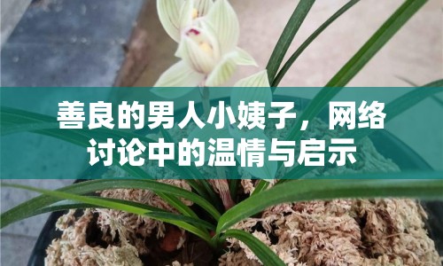 善良的男人小姨子，網(wǎng)絡(luò)討論中的溫情與啟示