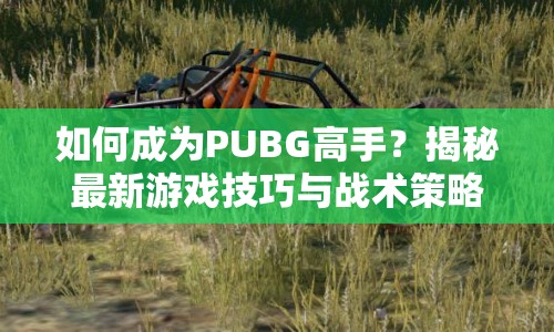 如何成為PUBG高手？揭秘最新游戲技巧與戰(zhàn)術(shù)策略！