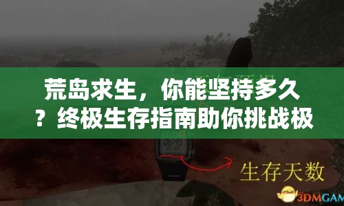 荒島求生，你能堅持多久？終極生存指南助你挑戰(zhàn)極限！