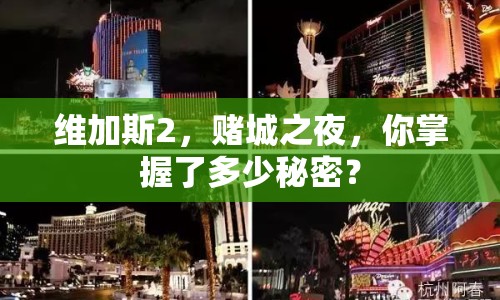 維加斯2，賭城之夜，你掌握了多少秘密？