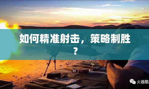 如何精準(zhǔn)射擊，策略制勝？