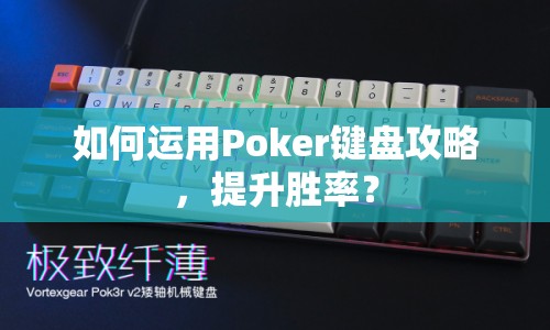 如何運(yùn)用Poker鍵盤攻略，提升勝率？