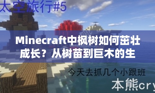 Minecraft中楓樹如何茁壯成長？從樹苗到巨木的生存藝術(shù)全解析