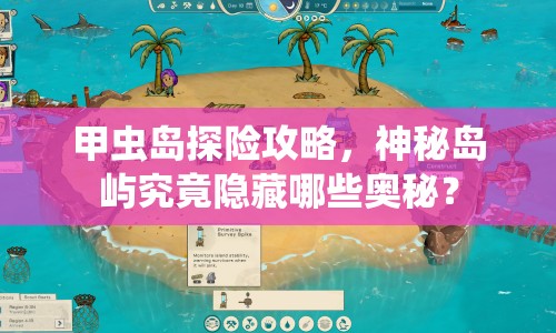 甲蟲島探險(xiǎn)攻略，神秘島嶼究竟隱藏哪些奧秘？