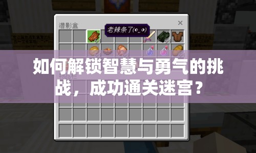 如何解鎖智慧與勇氣的挑戰(zhàn)，成功通關(guān)迷宮？