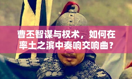 曹丕智謀與權術，如何在率土之濱中奏響交響曲？