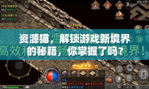 資源貓，解鎖游戲新境界的秘籍，你掌握了嗎？